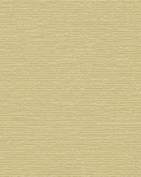 Echo Wave Vanilla by  Robert Allen 