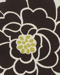 Sperling Noir by  Robert Allen 