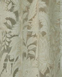 Creamy Blend Bamboo by   