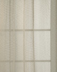 Puckered Mesh Barley by  Robert Allen 