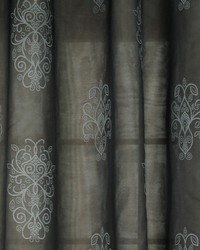 Pretty Looking Charcoal by  Robert Allen 