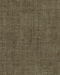 Rodez Bk Birch by  Robert Allen 