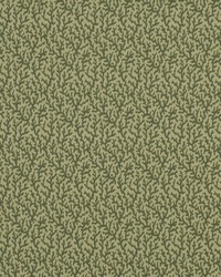 Colorful Reef Surf by  Robert Allen 