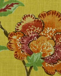 Les Fauves Sunshine by  Robert Allen 