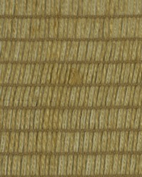 Cotopaxi Stucco by  Robert Allen 