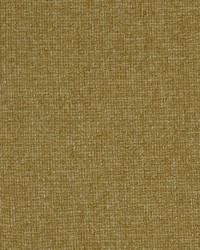 Winter Bay Praline by   