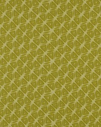 Tiki Torch Citron by   