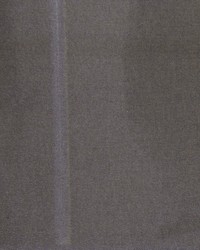 Elegant Sheer Dusk by  Robert Allen 