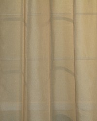 Elegant Sheer Sand by  Robert Allen 