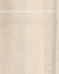 Elegant Sheer Winter by  Robert Allen 