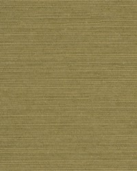 Natural Slub Citrine by  Robert Allen 