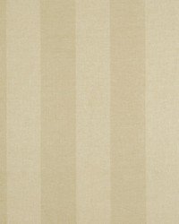 Two Tone Wicker by  Robert Allen 