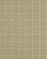 Pyramid Birch by  Robert Allen 