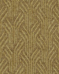 Exaltation Nutmeg by  Robert Allen 