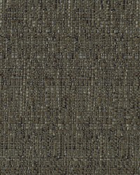 Always In Raven by  Robert Allen 