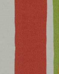 Baja Stripe Poppy by  Robert Allen 