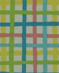 Baja Plaid Fiesta by  Robert Allen 