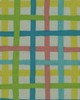 Robert Allen BAJA PLAID FIESTA