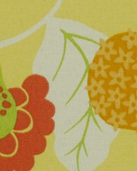 Baja Floral Lemon by  Robert Allen 