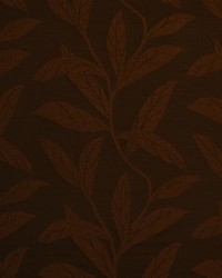 Break Line Hazelnut by   