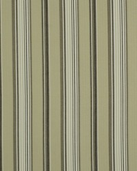 Luxe Stripe Stone Java by   