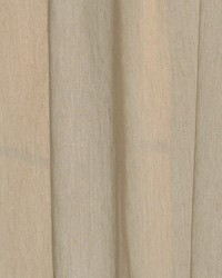 Graziella Bark by  Robert Allen 