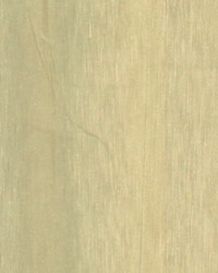 Silky Look Celadon by  Robert Allen 