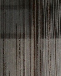 Uplifting Hues Fog by  Robert Allen 