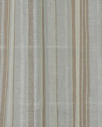 Narrow Path Rain by  Robert Allen 