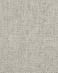 Weavescene Emb Grey by  Robert Allen 