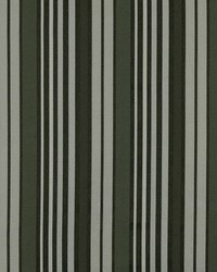 Vibrant Stripe Panther by  Robert Allen 