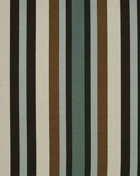 New Stripe Aloe by  Robert Allen 