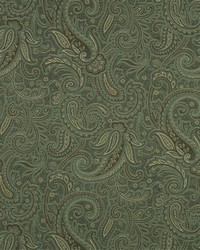 Modern Paisley Aloe by   