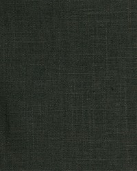 Linen Slub Storm by  Robert Allen 