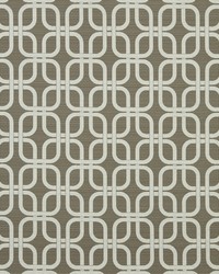 Plush Links Greystone by  Robert Allen 