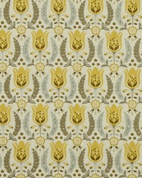 Ornate Frame Zest by  Robert Allen 