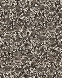 Renegade Brindle by  Robert Allen 