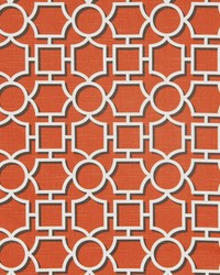 Vreeland Persimmon by   