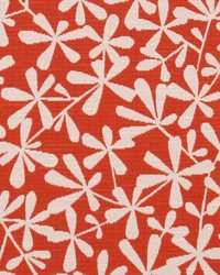 Strie Toss Bk Papaya by  Robert Allen 