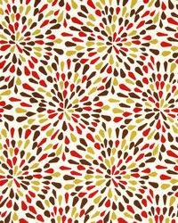 Many Petals Poppy by  Robert Allen 