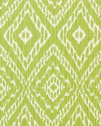 Strie Ikat Leaf by   