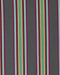 Villa Stripe Charcoal by   