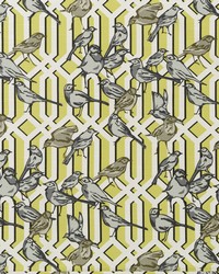 Aviary Trellis Citrine by  Robert Allen 