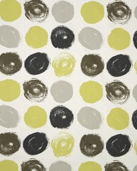 Brushed Dot Citrine by  Robert Allen 