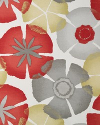 Pure Petals Coral by   