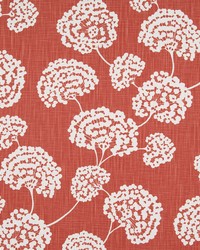 Toile Stems Coral by   