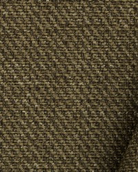 Nelson Texture Cashew by  Robert Allen 