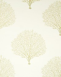 Tree Branch Sunray by  Robert Allen 