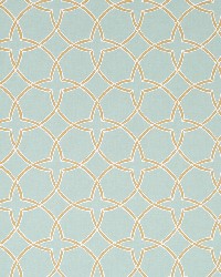 Fair Fret Aloe by  Robert Allen 