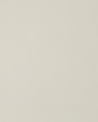 Forever Velvet Pearl by  Robert Allen 